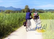 Fietsvakantie Andalusië